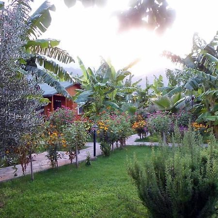 Estelar Bungalow Çıralı Eksteriør billede