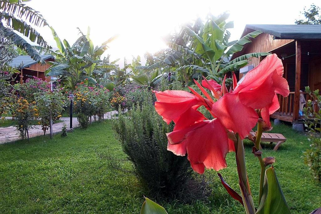 Estelar Bungalow Çıralı Eksteriør billede