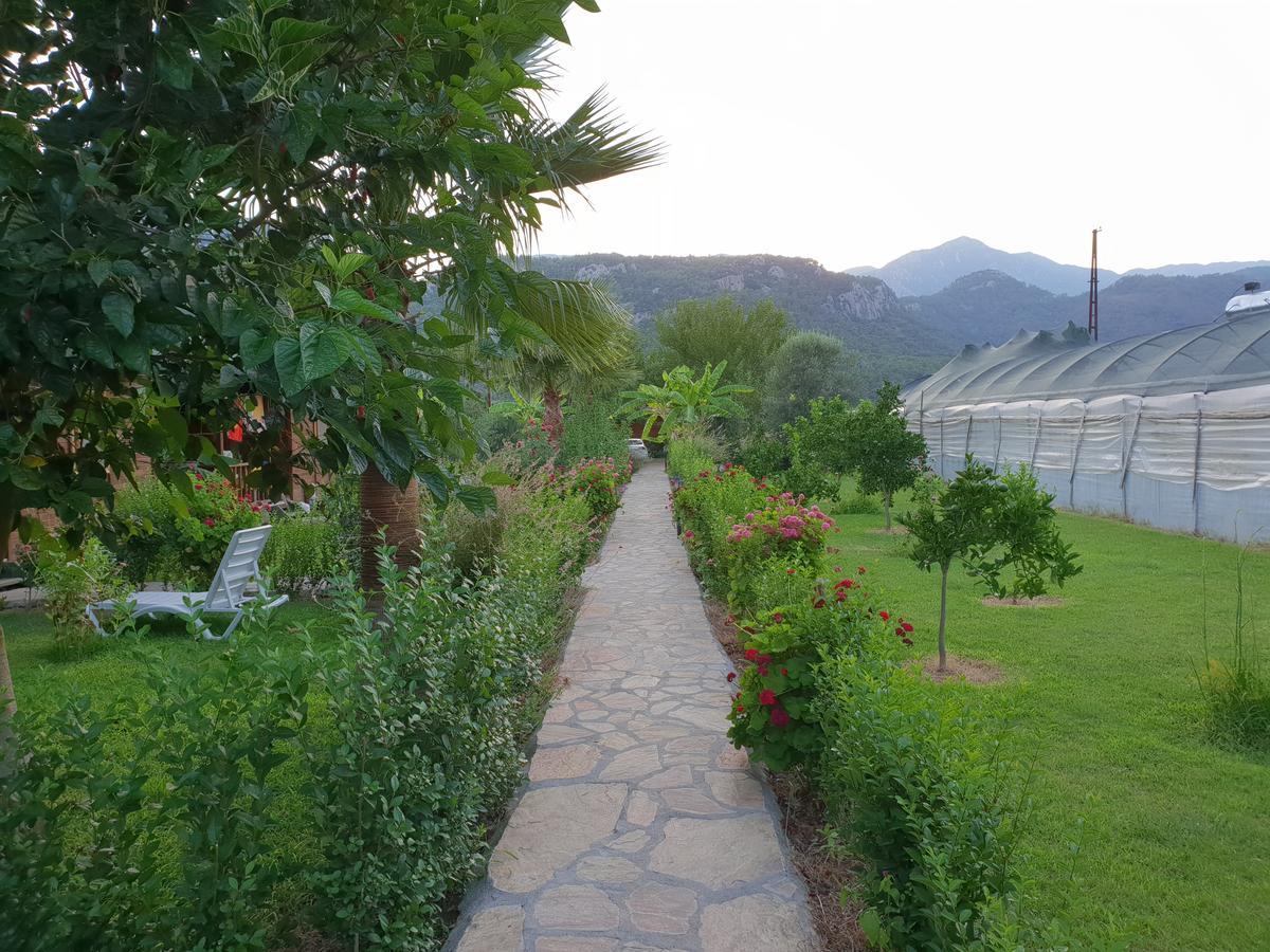 Estelar Bungalow Çıralı Eksteriør billede